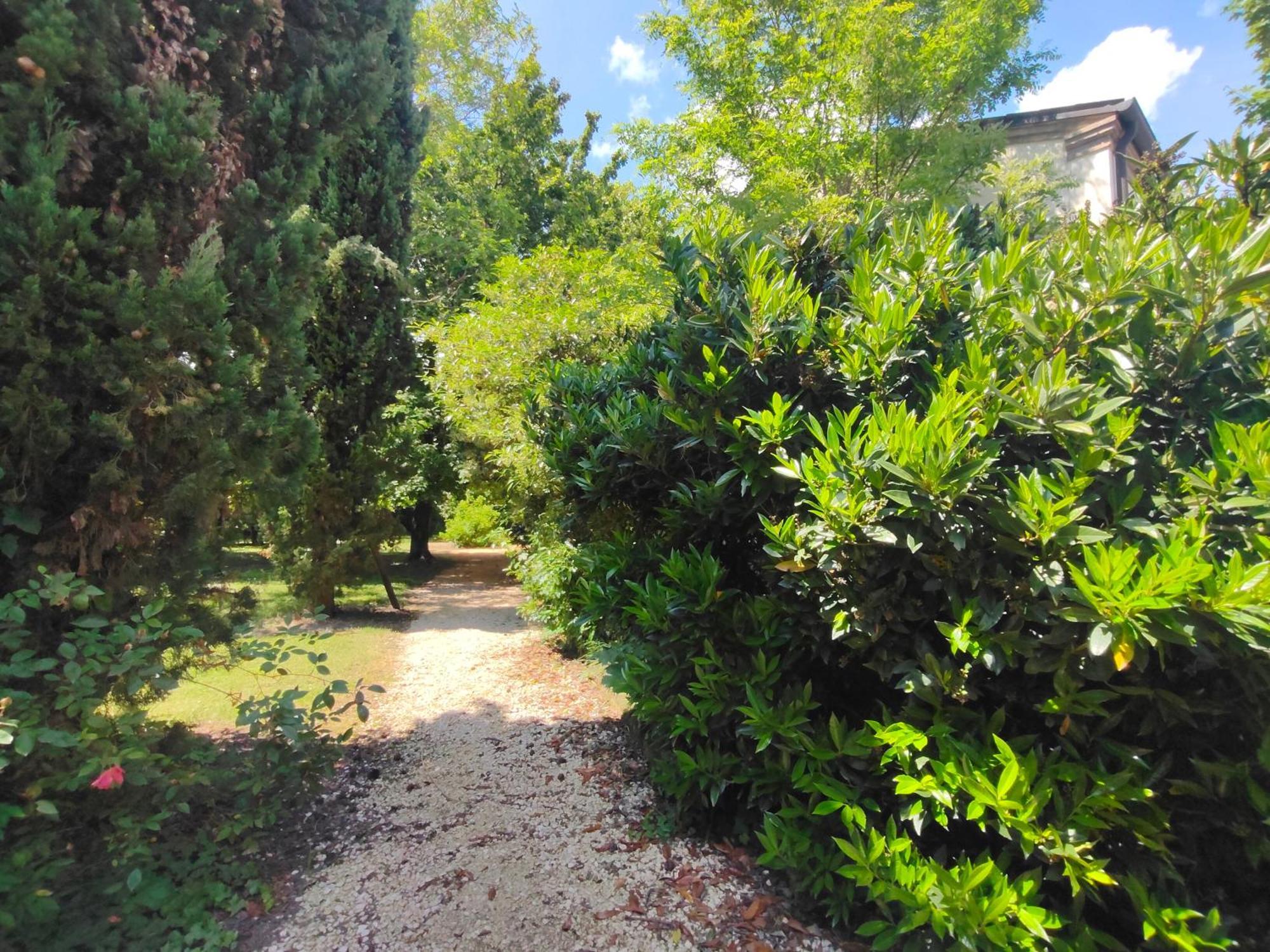 Casale Del Leon Villa Dolo Bagian luar foto